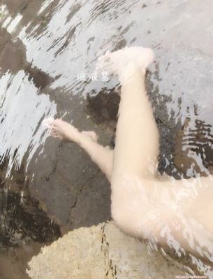 高斯电子公司